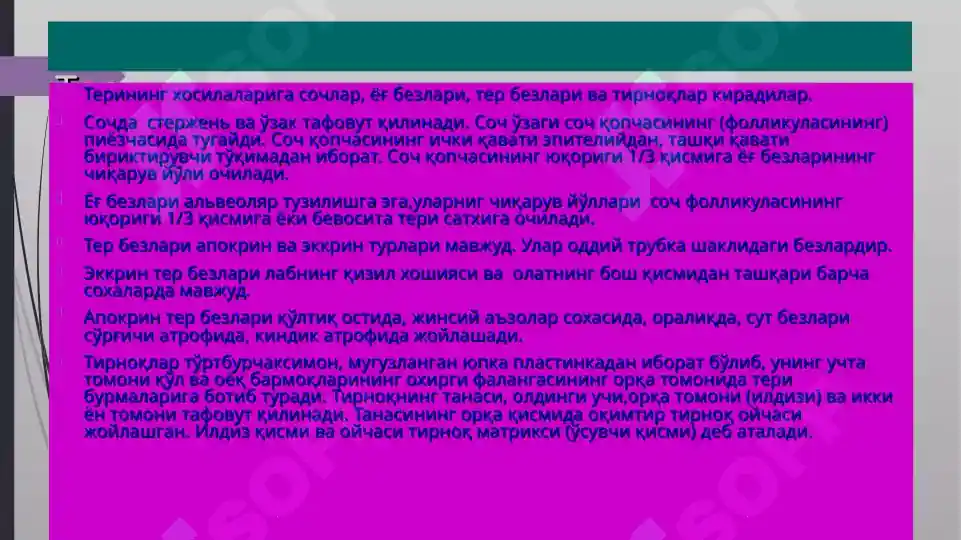 Product slide 8