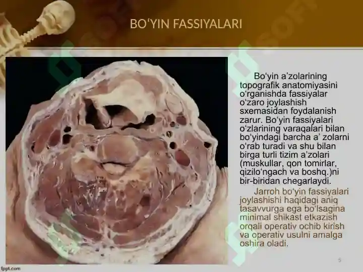 Product slide 5