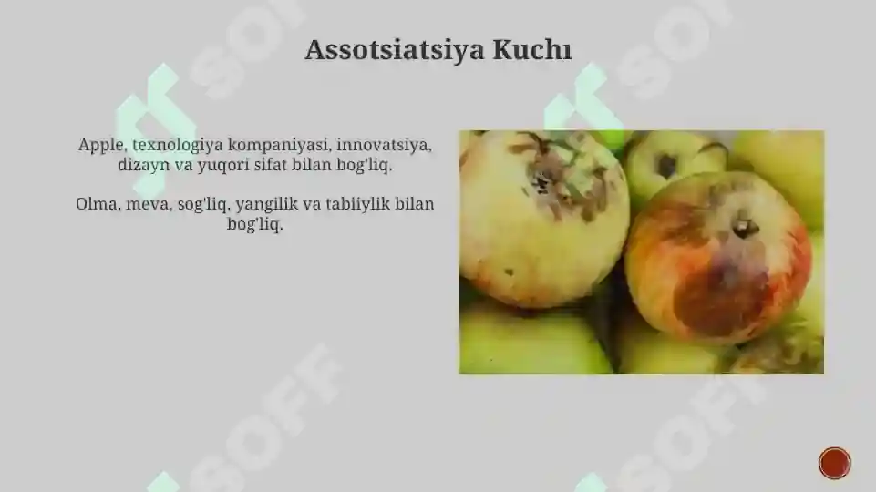 Product slide 7