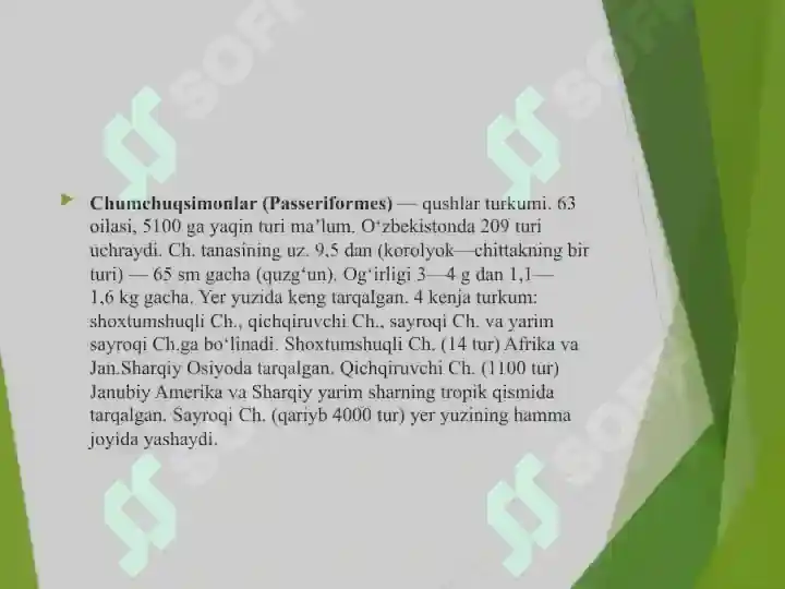 Product slide 5