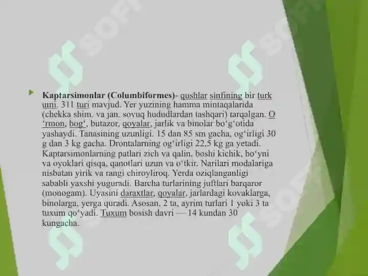 Product slide 8