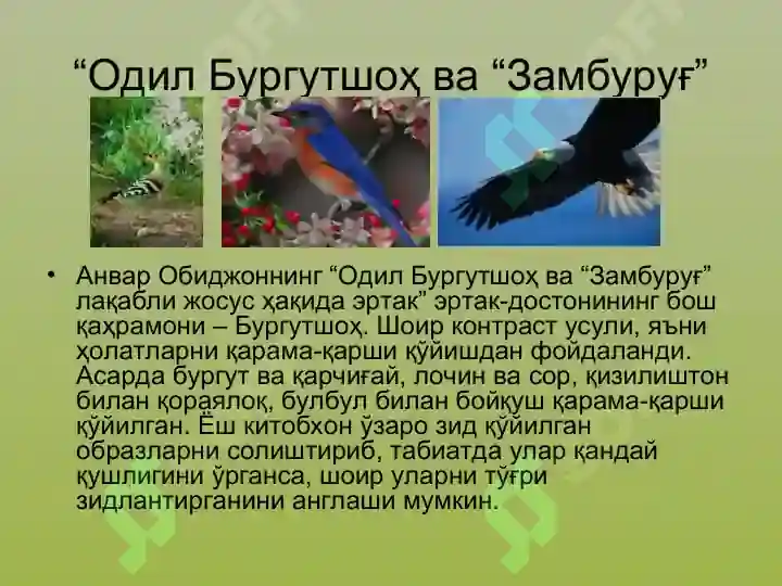 Product slide 6