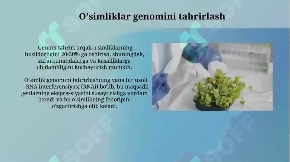 Product slide 5