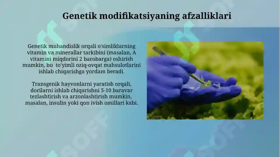Product slide 7