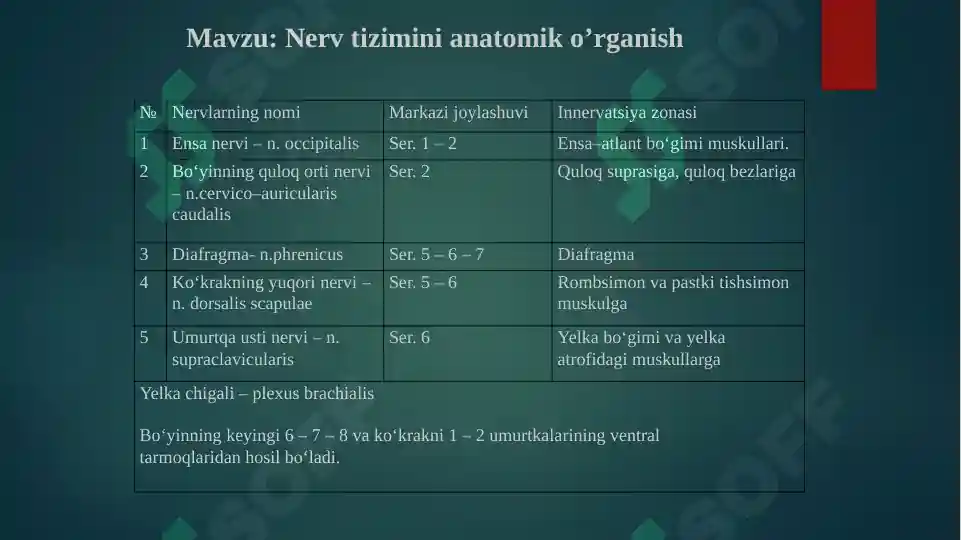 Product slide 7
