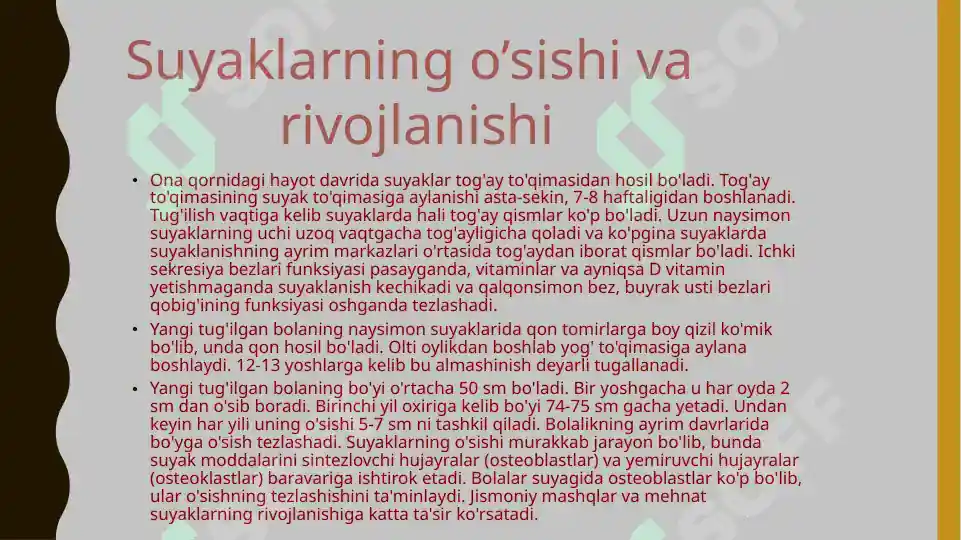 Product slide 6