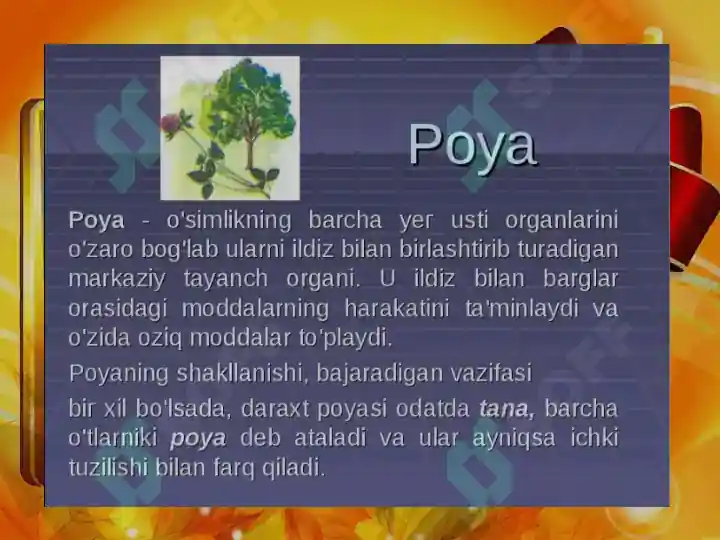 Product slide 8