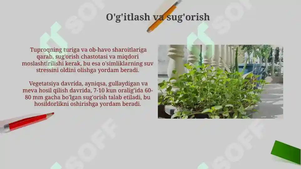 Product slide 6
