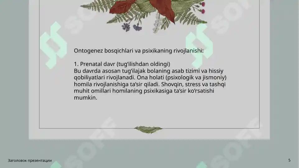Product slide 5