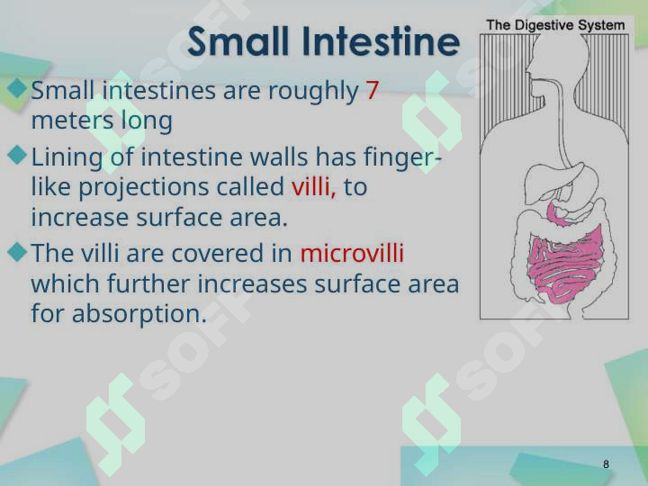 Product slide 8