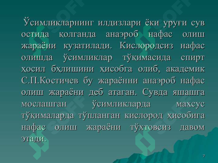 Product slide 7