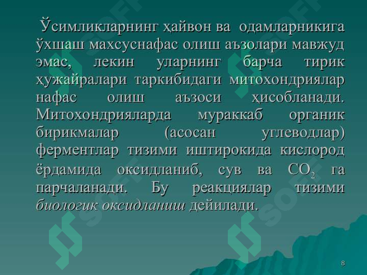 Product slide 8