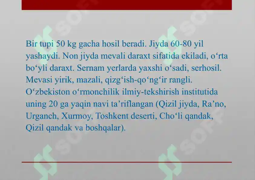 Product slide 7