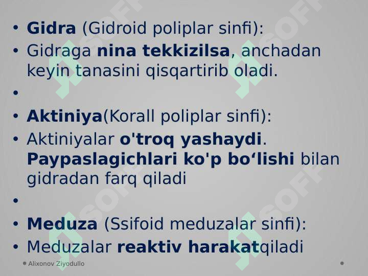 Product slide 8