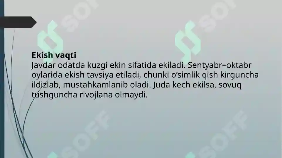 Product slide 7