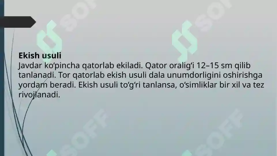 Product slide 8