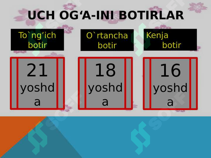 Product slide 6