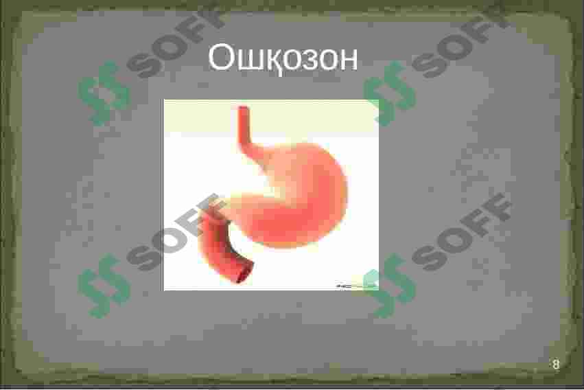 Product slide 8