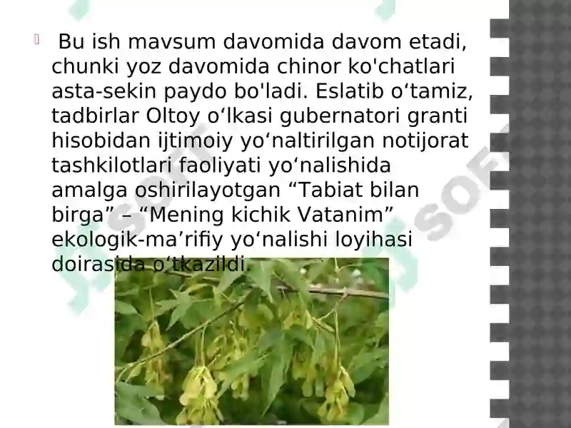Product slide 7